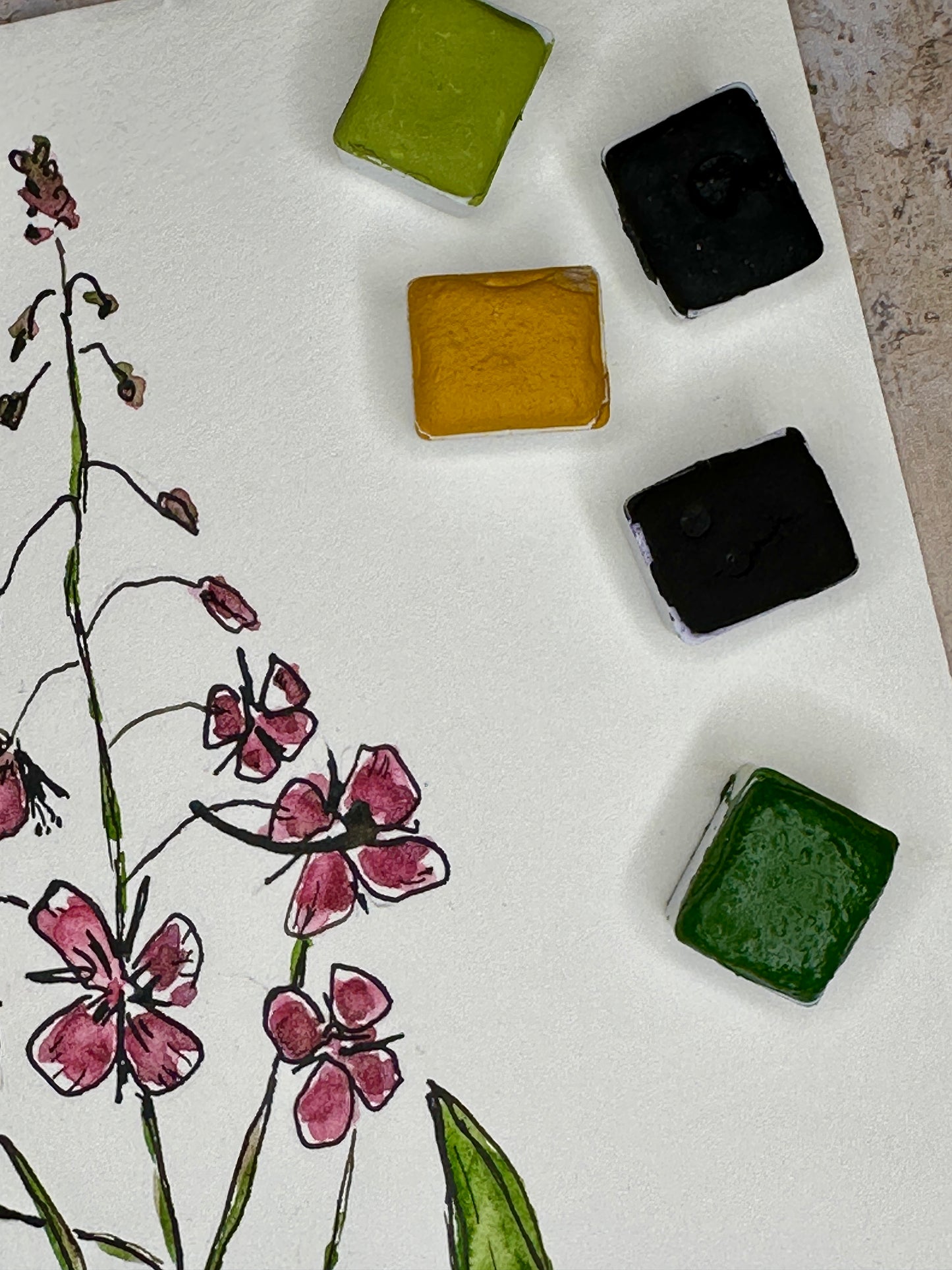 The ink & wash Wildflowers Palette