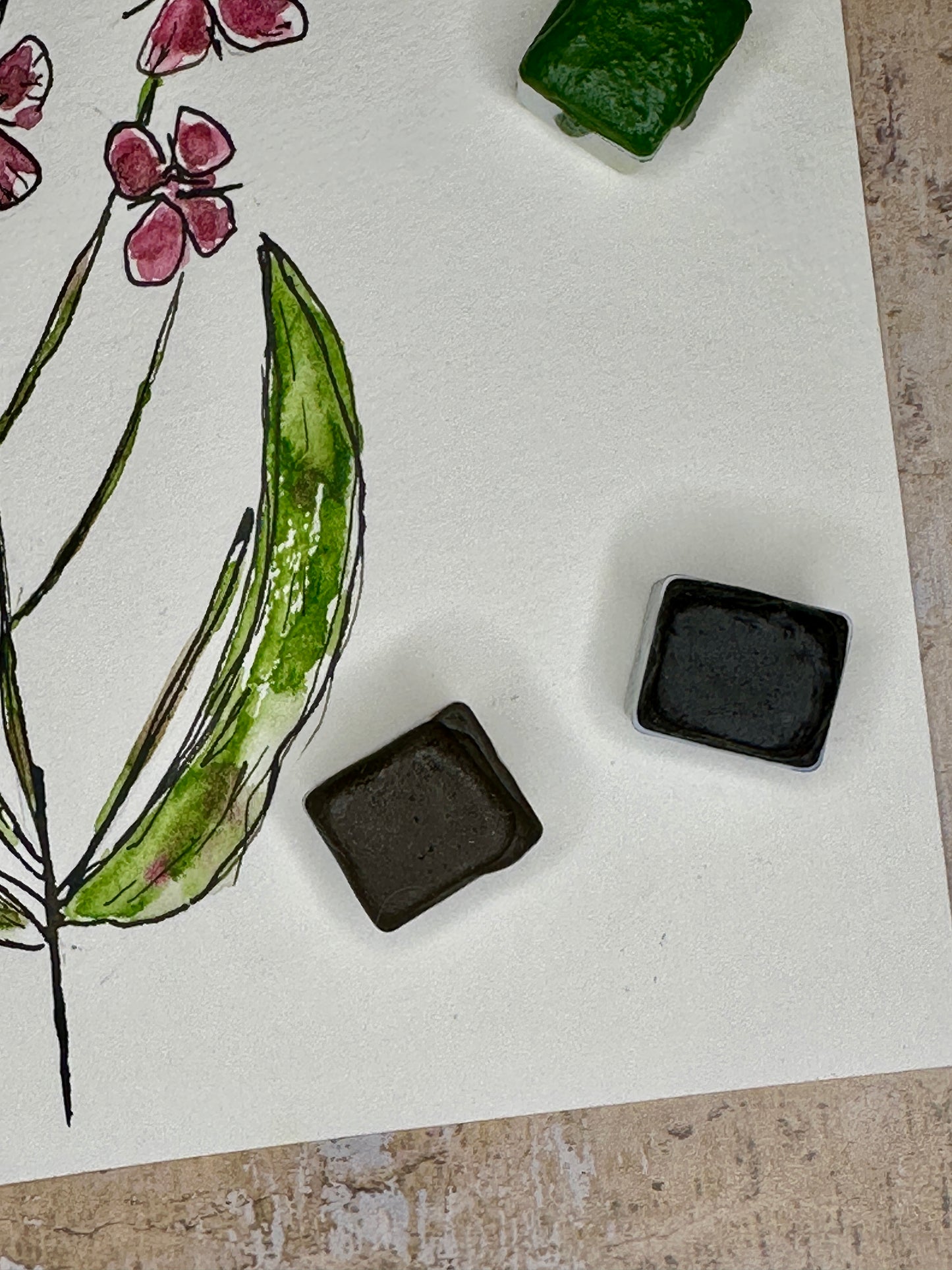 The ink & wash Wildflowers Palette