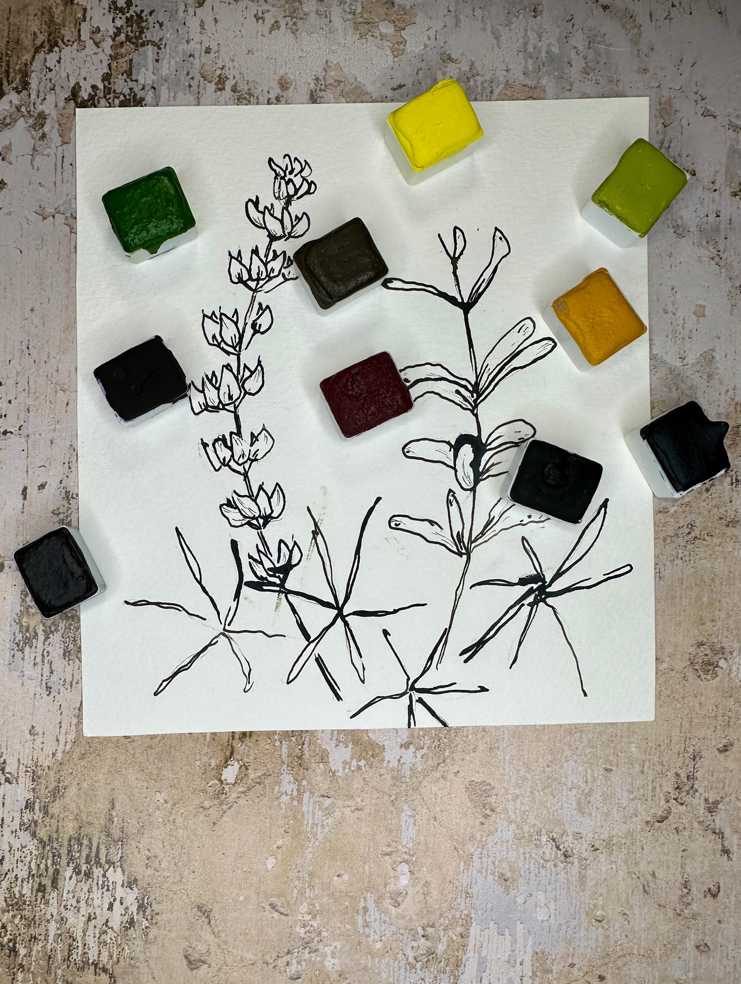 The ink & wash Wildflowers Palette