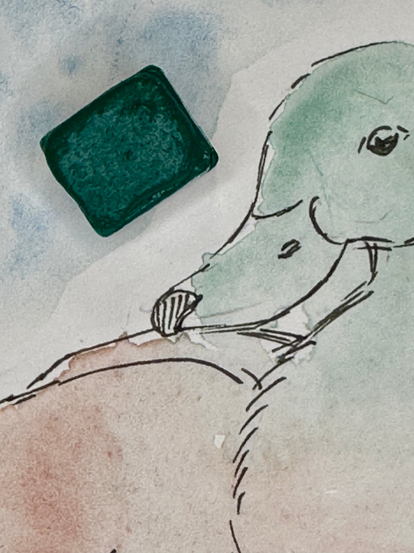 Tropical Rainforest - No. 139 - Half pan