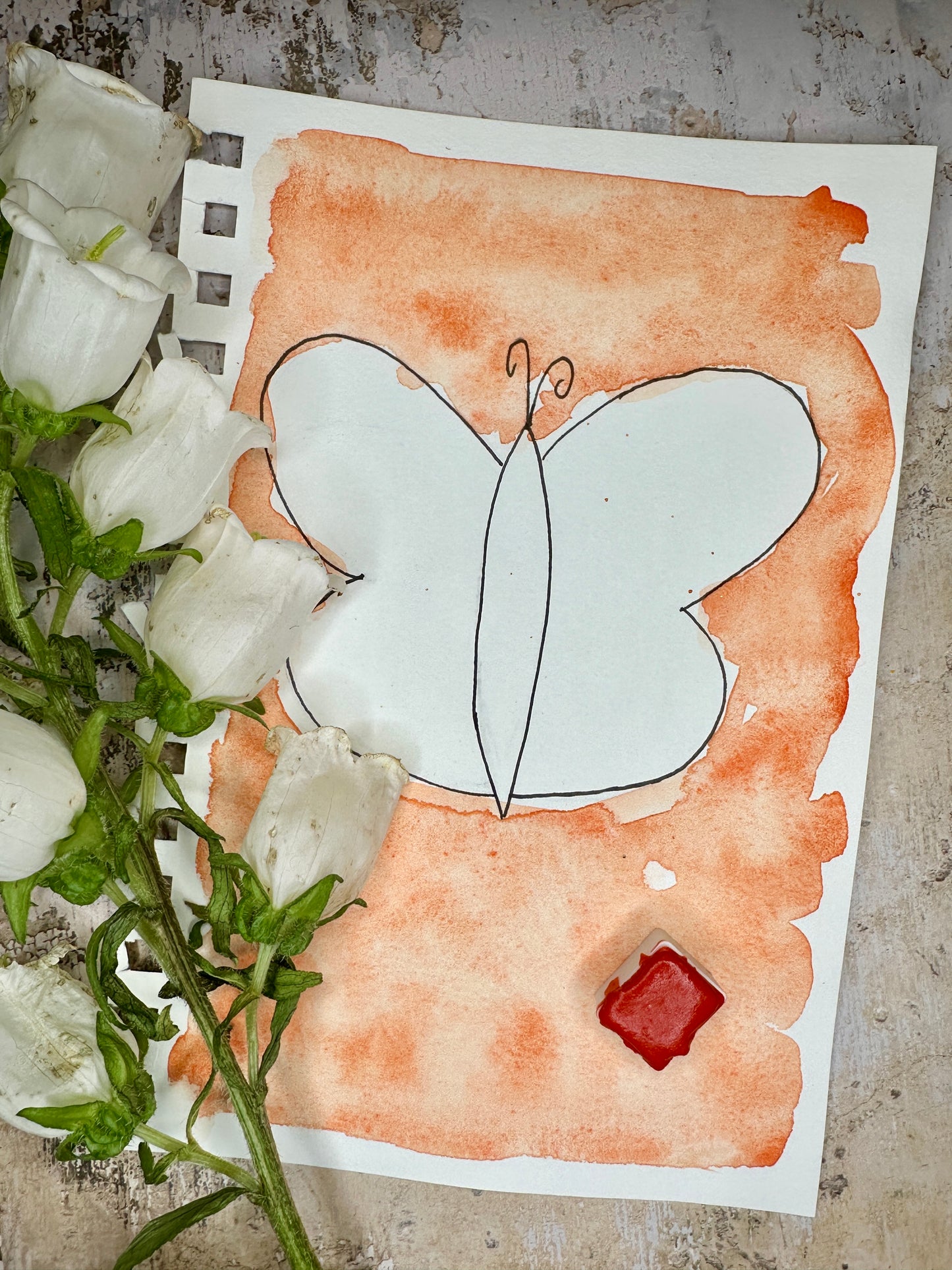 Rupicola Orange - No. 16