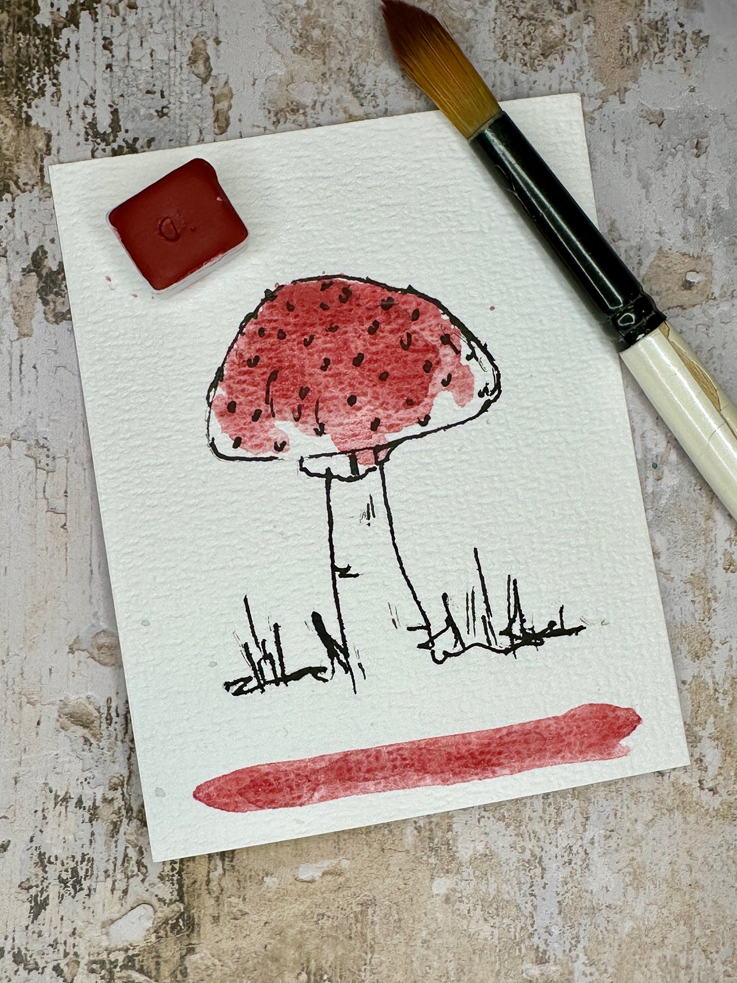 Mushroom Kiss - No. 339