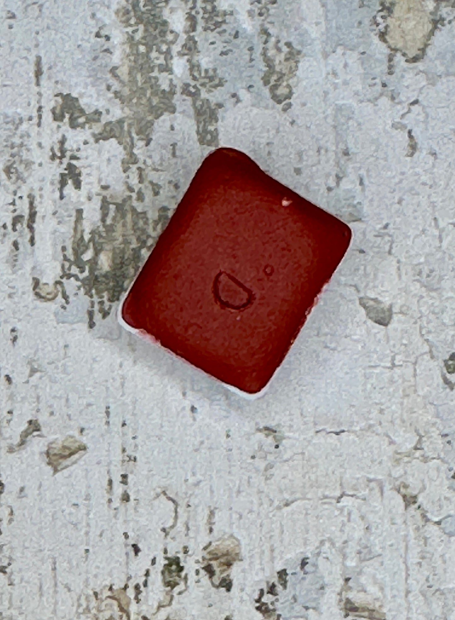 Mushroom Kiss - No. 339