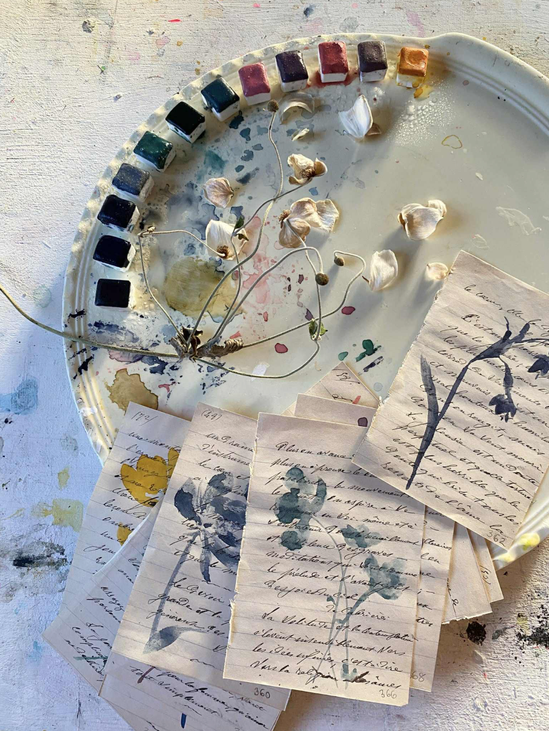 The Menopause Collection 2026