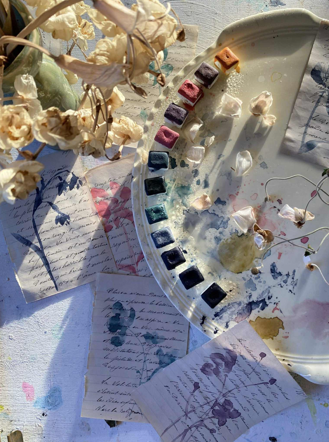 The Menopause Collection 2026