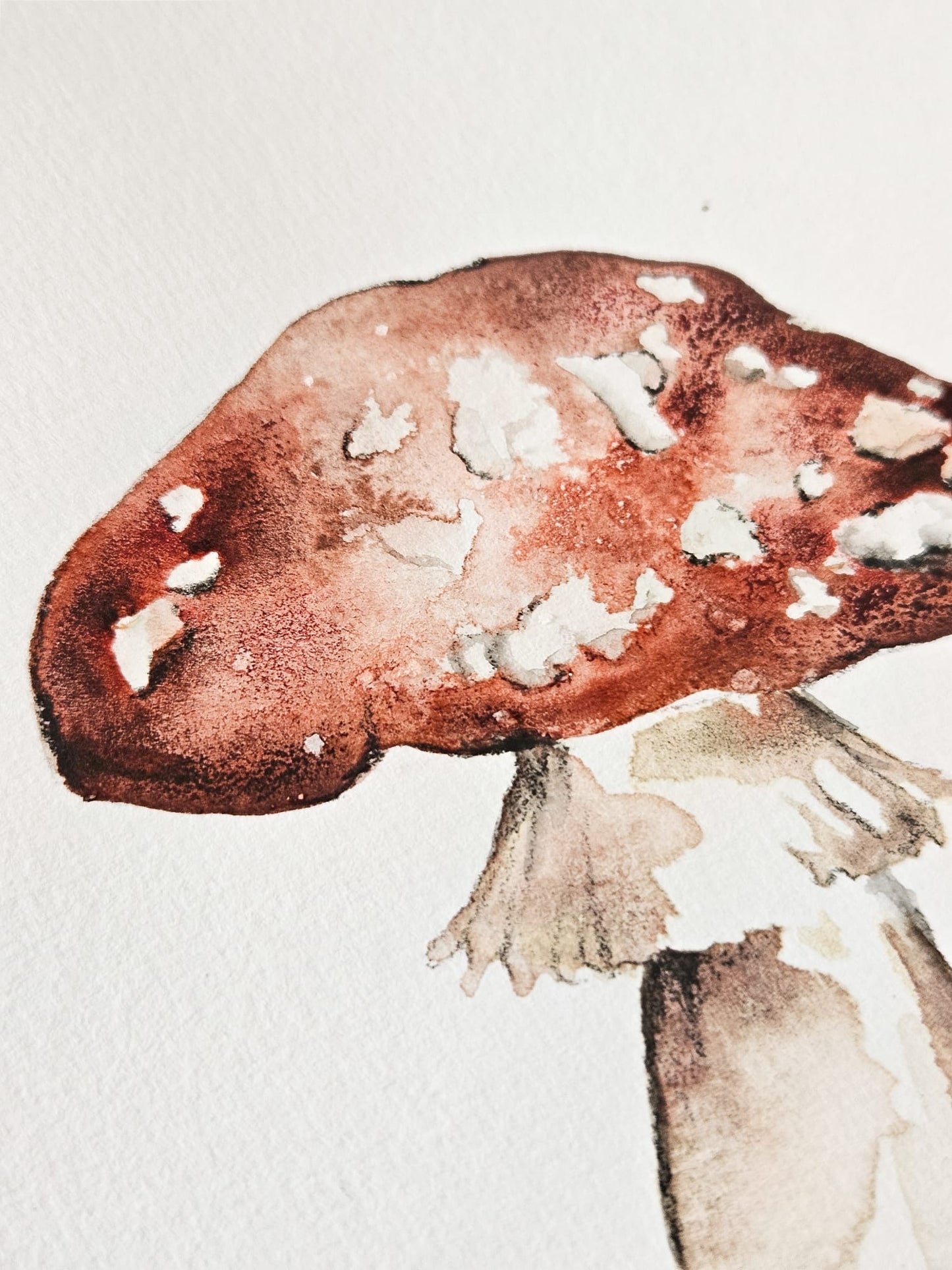 The Six Senses Palette by Emmeli Eek Christensen of @oak.and.paper