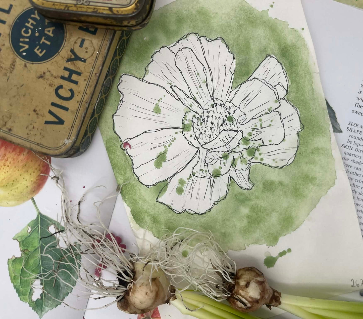 Enchanted Forest - No. 262