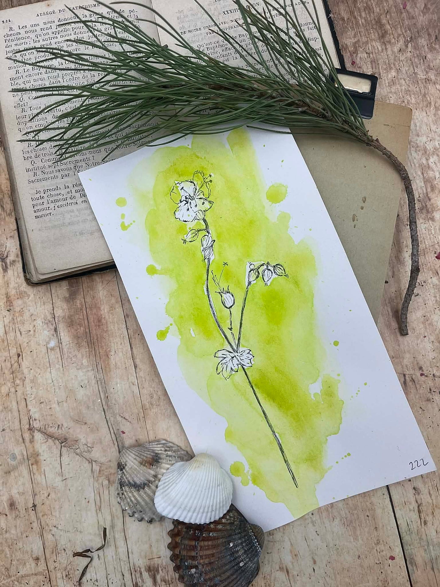 Lime Zest - No. 222