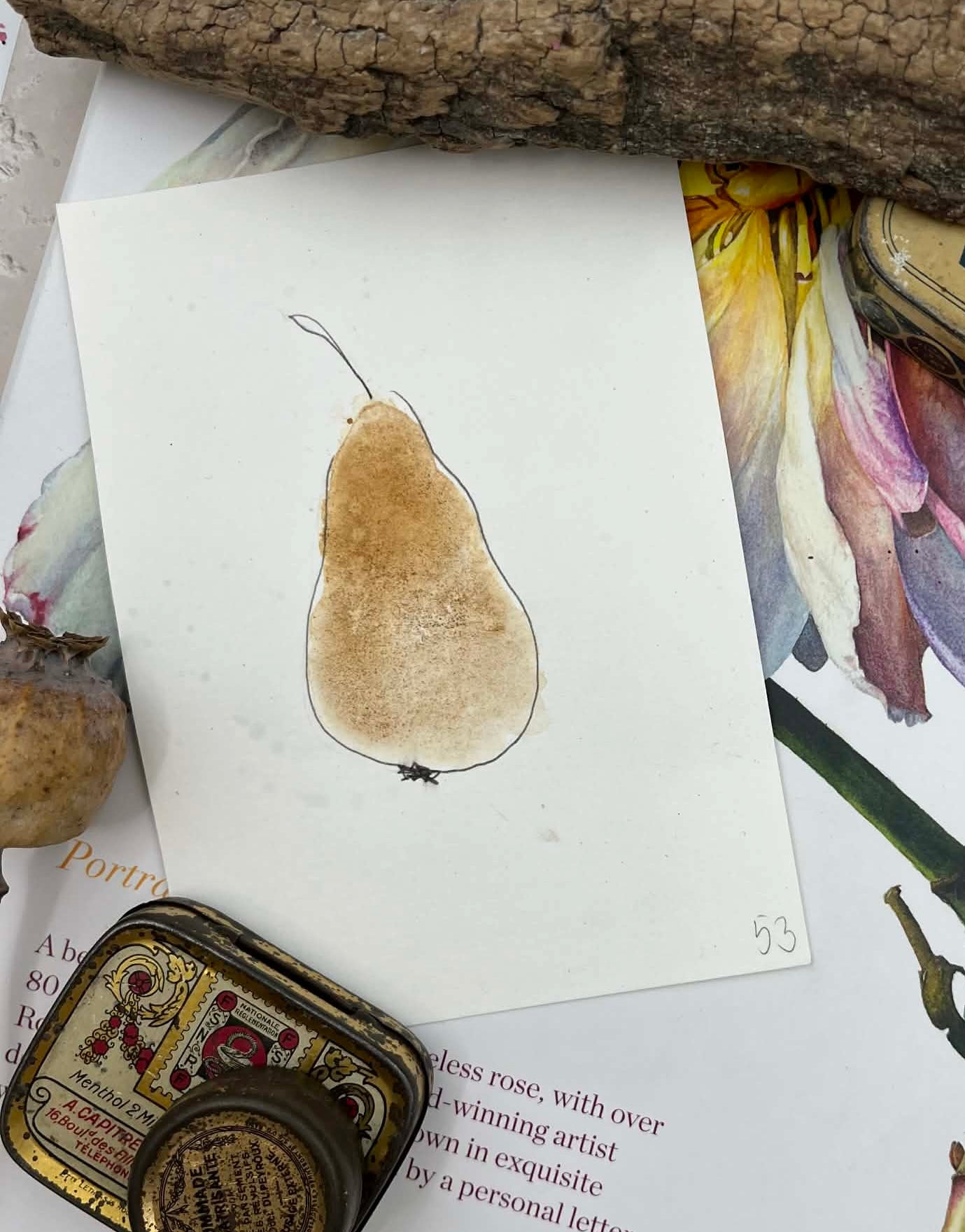 Raw Sienna (Terre di Sienna) - No. 53