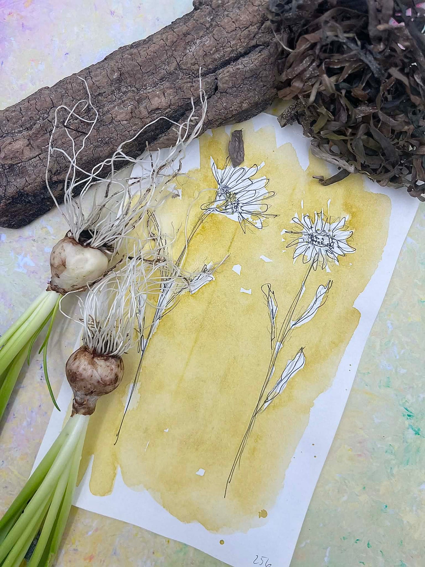 Sirens Gold - No. 256