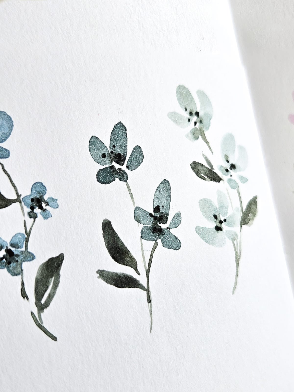 Summer Flowers 2025 - Öland