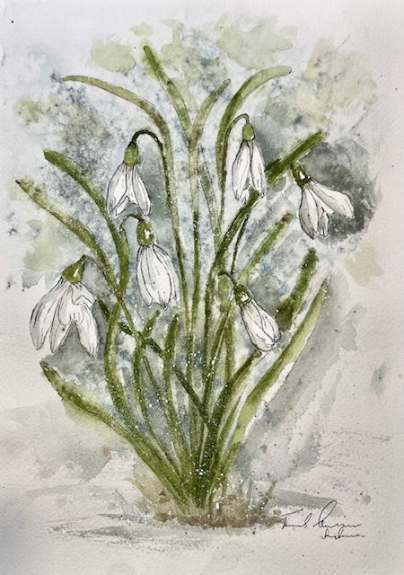 The Snowdrops Palette, no. 5, 32 & 243